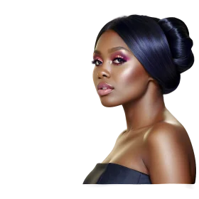 Elegant African American Woman Hairstyle Salon Clipart Illustration