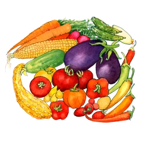 Fresh Garden Harvest Clipart: A Colorful Symphony of Farm-Fresh Vegetables