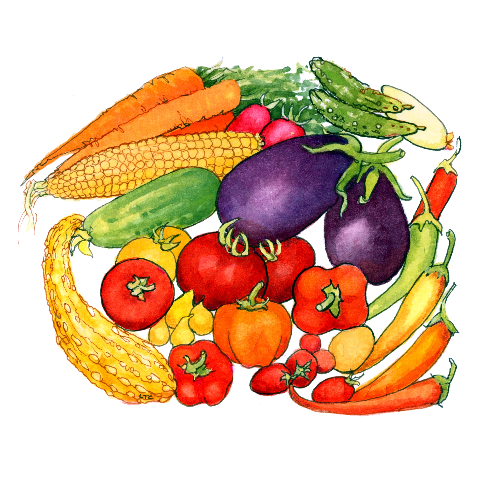 Fresh Garden Harvest Clipart: A Colorful Symphony of Farm-Fresh Vegetables