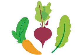 Fresh Garden Harvest Clipart: Carrot, Beetroot, and Leafy Greens Illustration