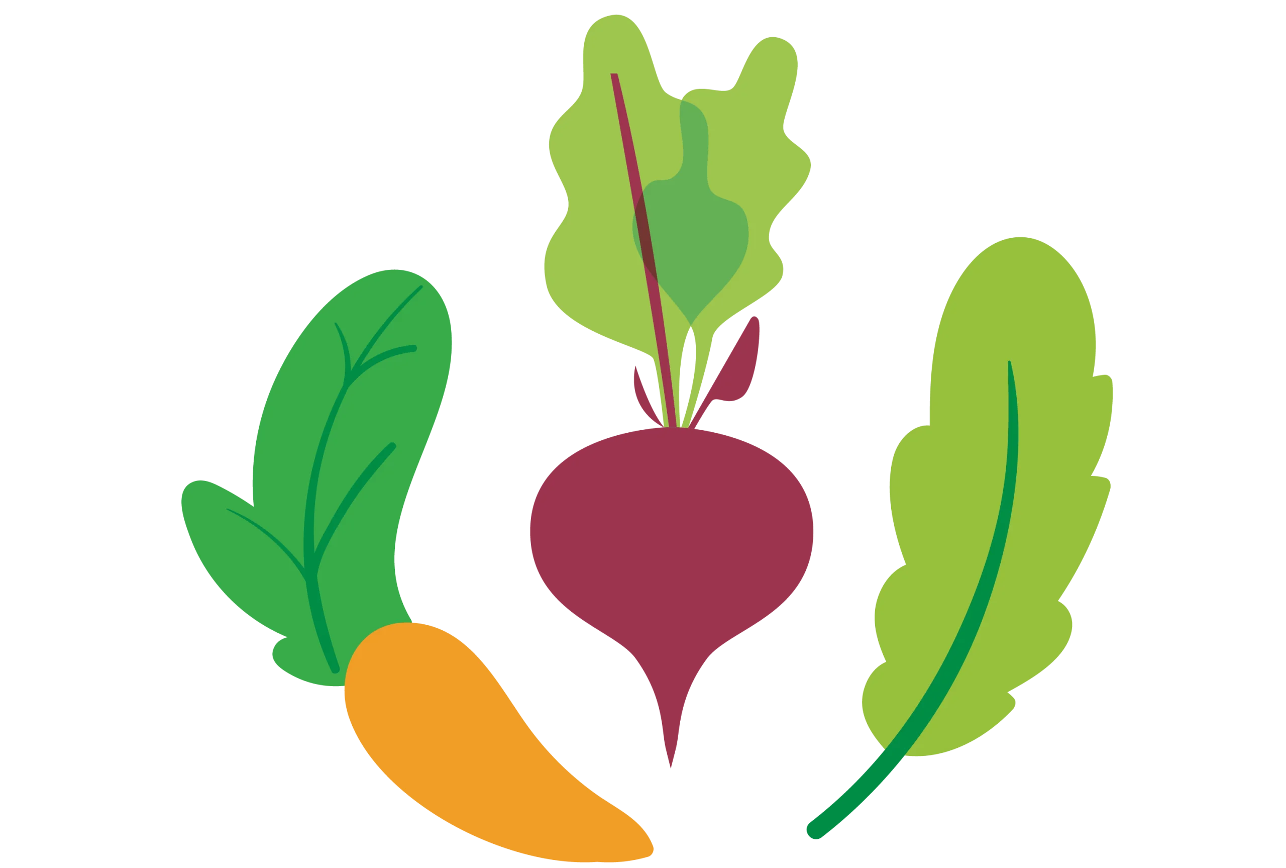 Fresh Garden Harvest Clipart: Carrot, Beetroot, and Leafy Greens Illustration
