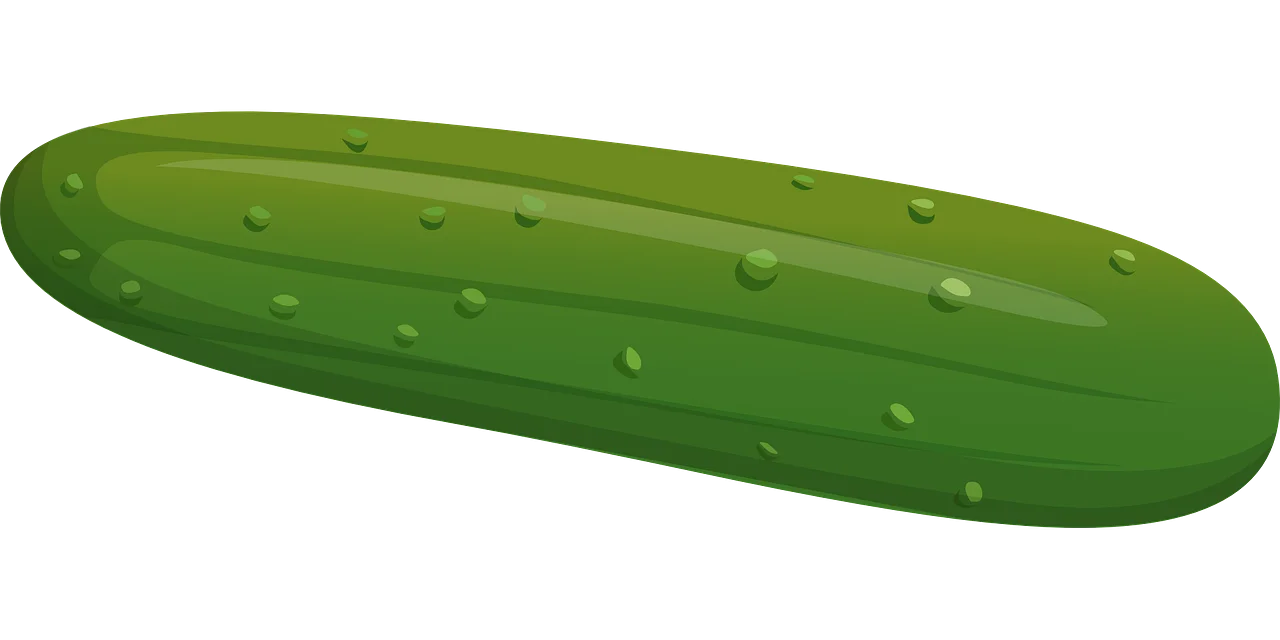 Fresh Green Cucumber Clipart Illustration with Textured Surface and Smooth Edges