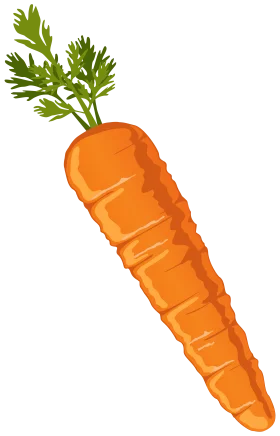 Fresh Orange Carrot with Green Leafy Tops: A Crisp Vegetable Clipart Illustration