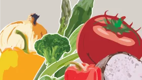 Fresh Organic Vegetables Seasonal Clipart Collection with Bold Colors