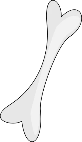 Anatomical Long Bone Silhouette Clipart Design with Smooth Curved Edges