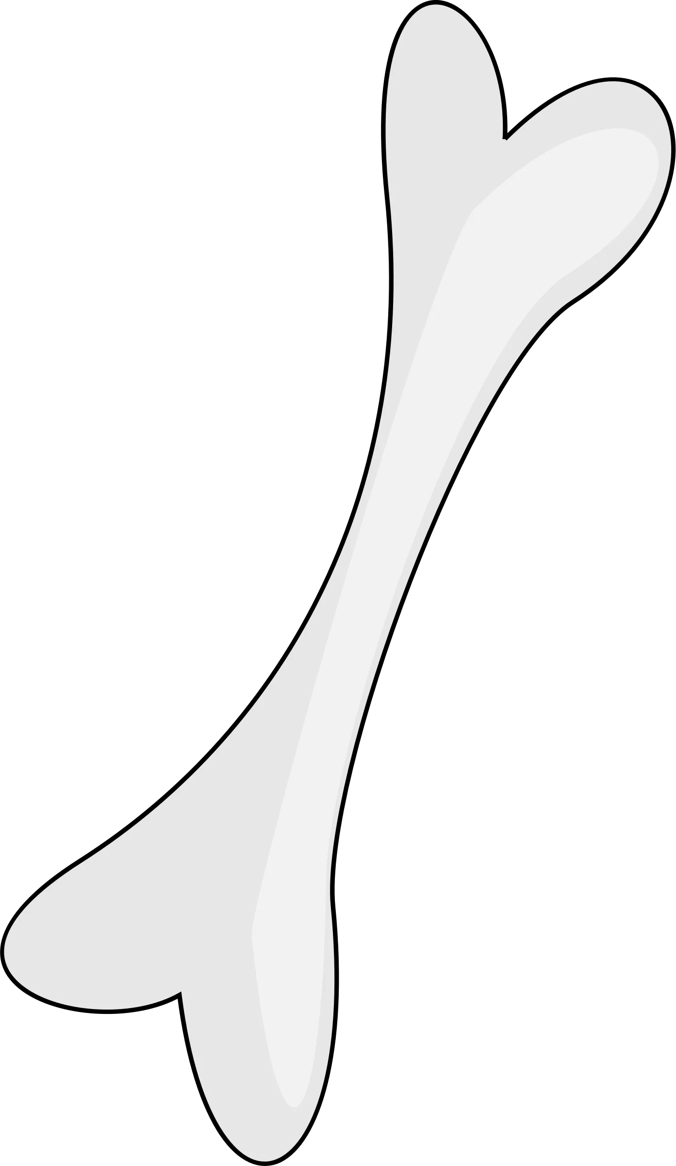 Anatomical Long Bone Silhouette Clipart Design with Smooth Curved Edges