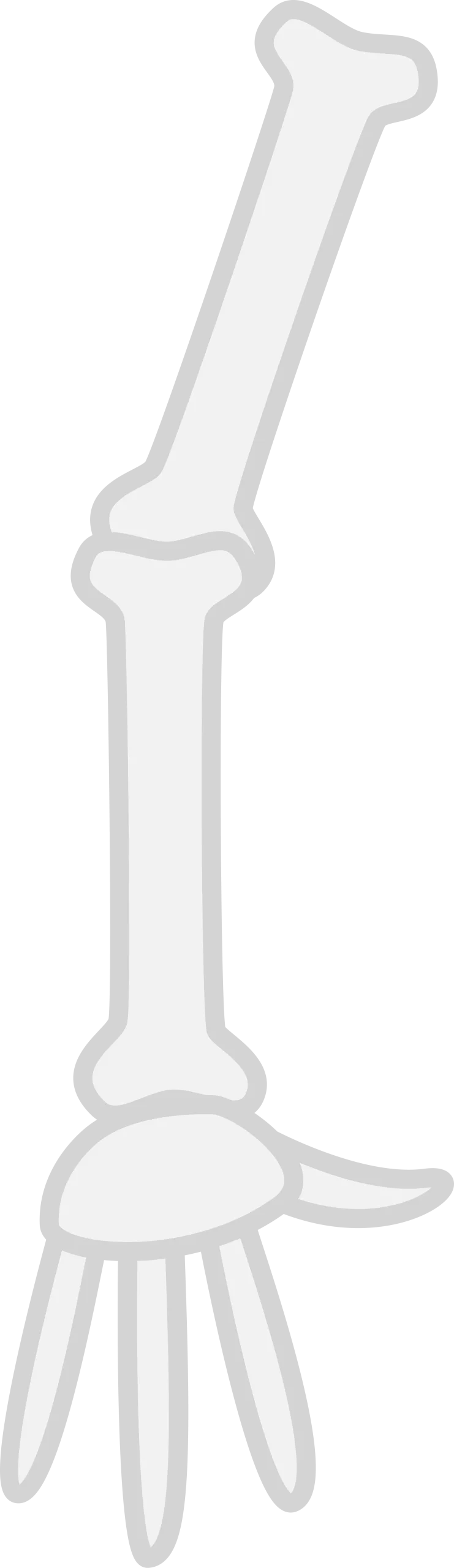 Anatomical Skeletal Arm Bone Structure Clipart Illustration Design