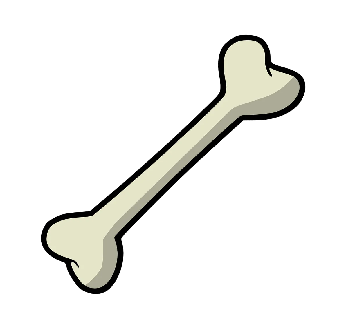 Minimalist Anatomical Bone Clipart Illustration with Soft Gradient Shading