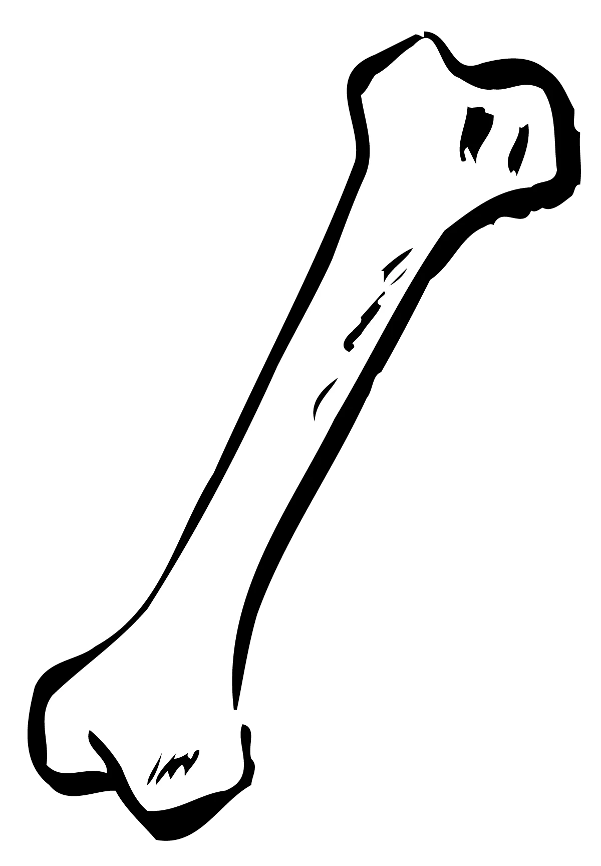 Minimalist Black and White Anatomical Bone Clipart Design Illustration