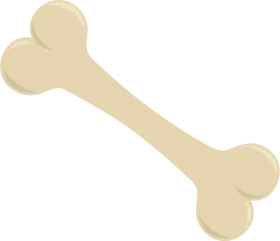 Minimalist Bone Clipart: Simplified Anatomical Illustration in Soft Beige Tones