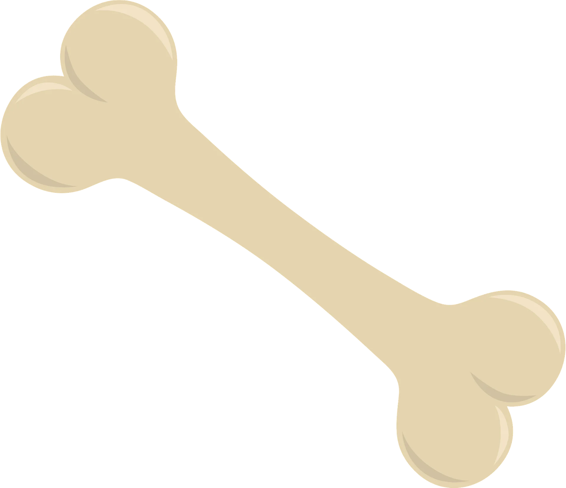 Minimalist Bone Clipart: Simplified Anatomical Illustration in Soft Beige Tones