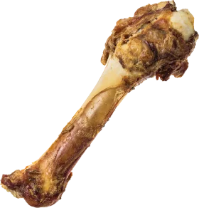 Realistic Detailed Meat Bone Clipart with Textured Surface and Roasted Appearance