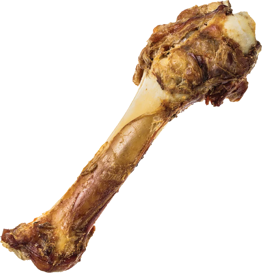 Realistic Detailed Meat Bone Clipart with Textured Surface and Roasted Appearance