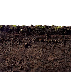 Rich Textured Soil Cross-Section Clipart Illustration of Earth Layers