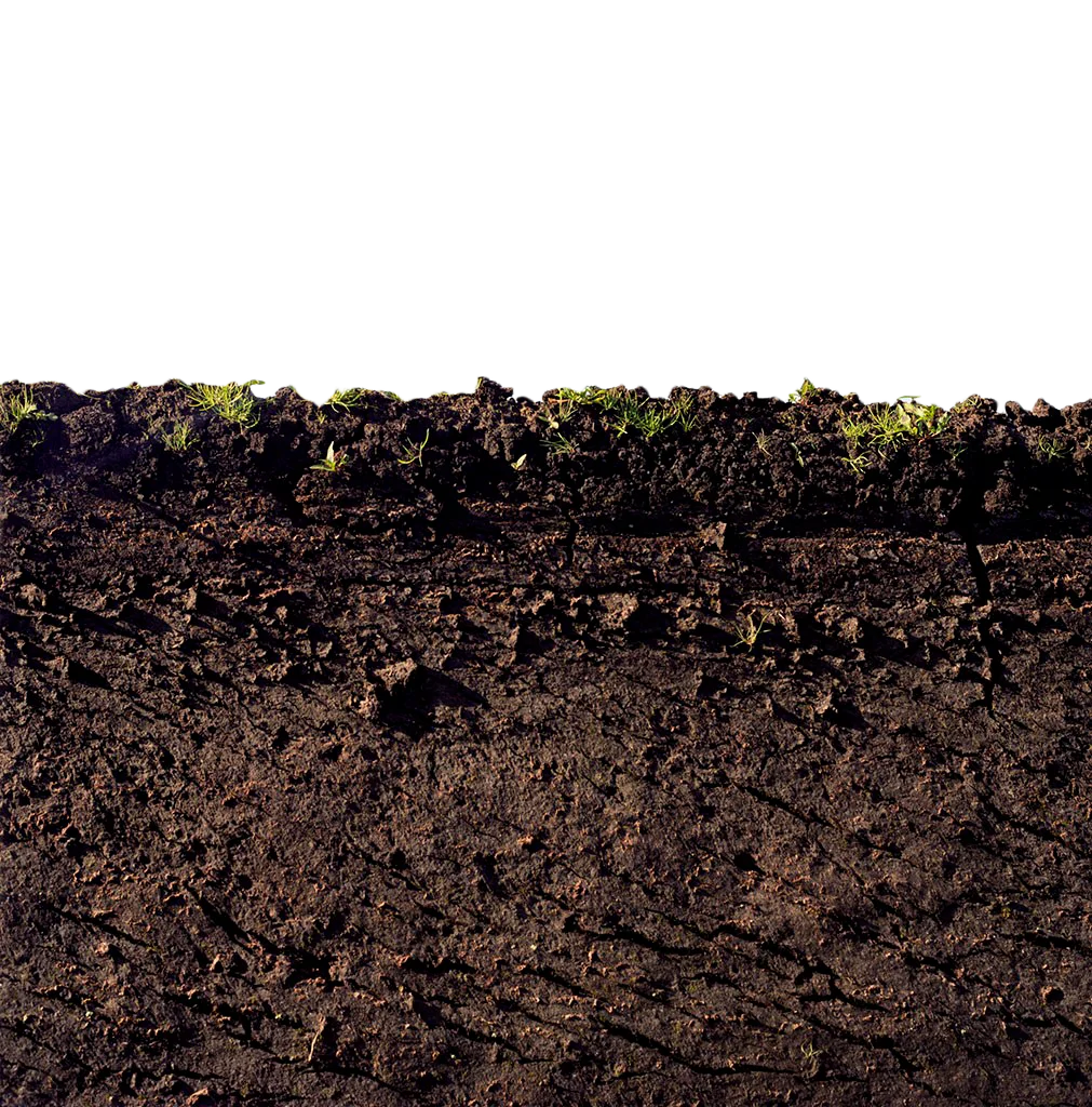 Rich Textured Soil Cross-Section Clipart Illustration of Earth Layers