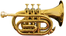 Gleaming Gold Pocket Trumpet Clipart - Compact Brass Musical Instrument Illustration