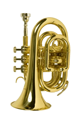 Gleaming Golden Pocket Trumpet Clipart with Intricate Brass Detailing and Curved Design