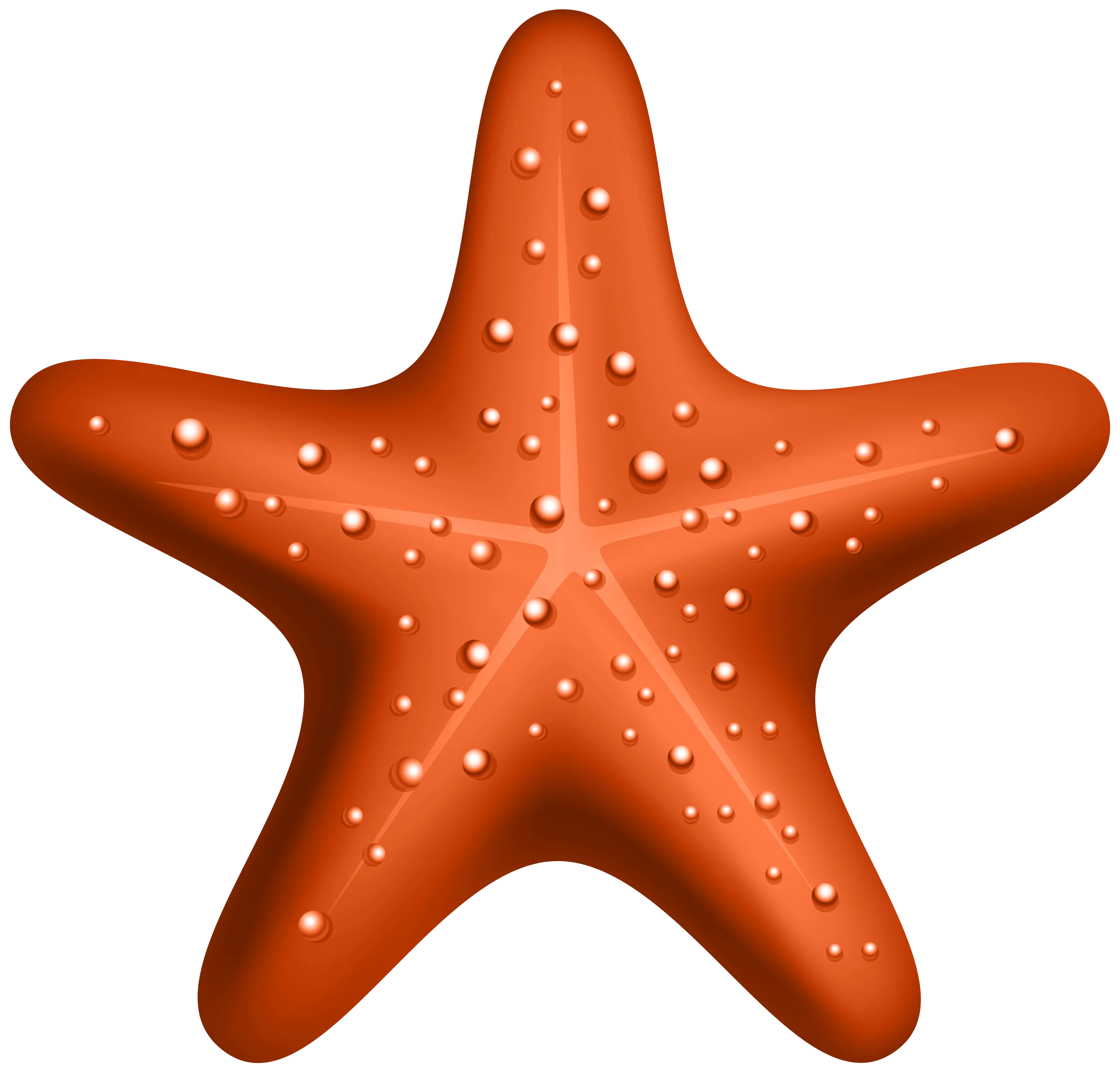 Detailed Orange Starfish Clipart Illustration with Textured Surface Design