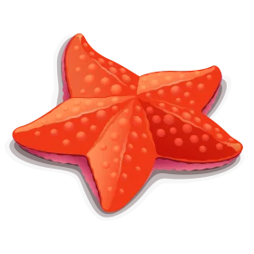 Adorable Coral Red Starfish Clipart with Textured Surface Design