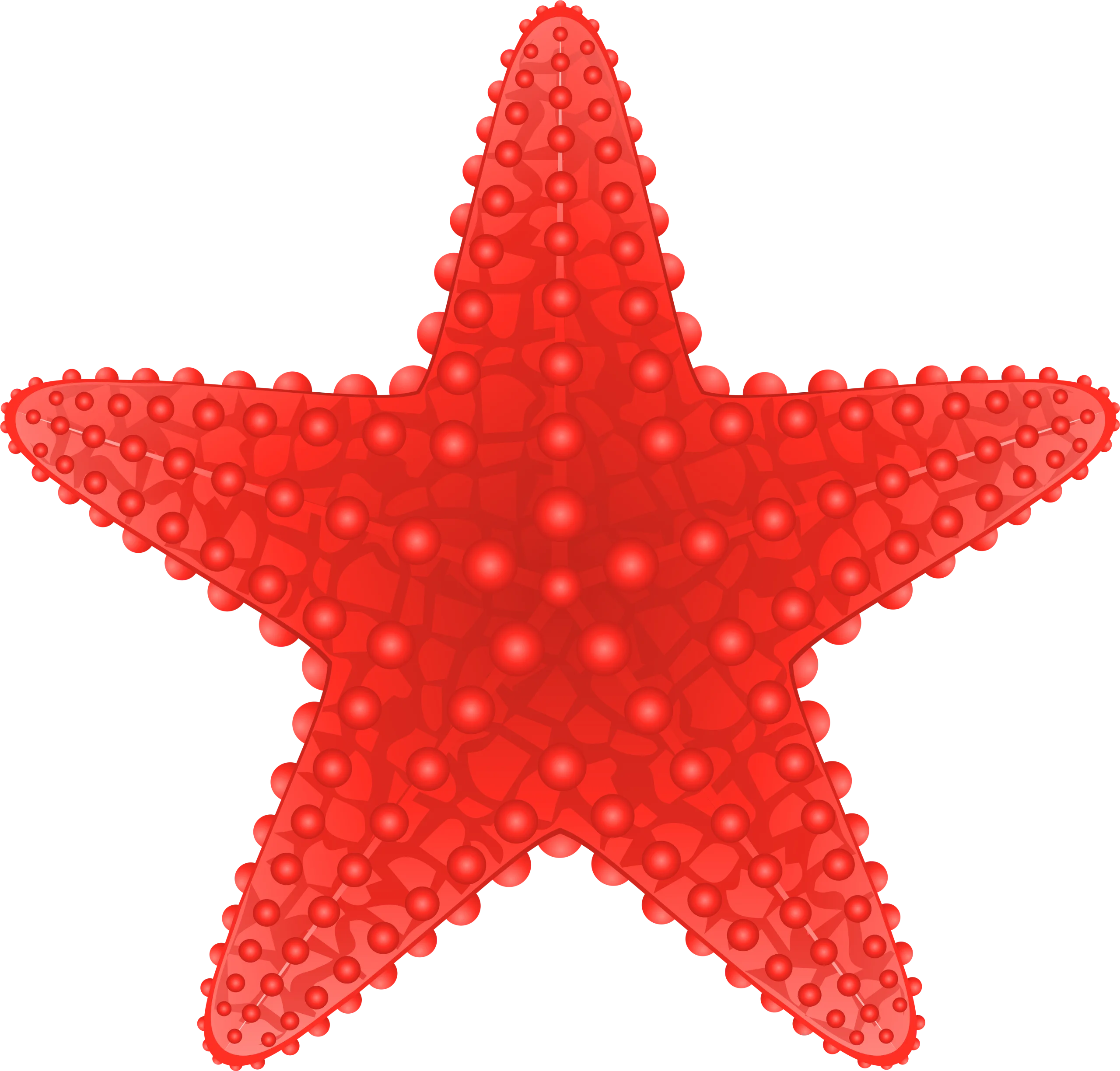 Detailed Red Sea Star Marine Life Clipart with Textured Surface Design
