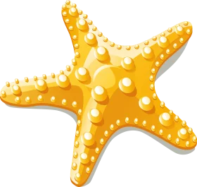 Golden Sunshine Starfish Clipart: Oceanic Marine Life Illustration Design