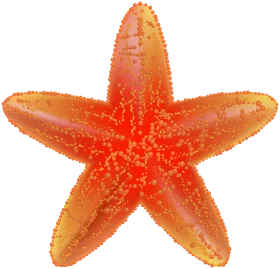 Radiant Orange Starfish Clipart Illustration with Textured Marine Design