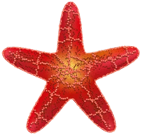 Radiant Red Starfish Clipart: Oceanic Marvel with Textured Golden Center