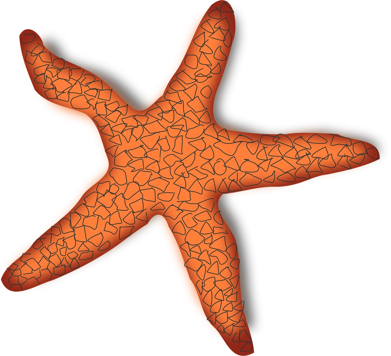 Realistic Orange Starfish Clipart with Textured Surface and Distinct Arm Shape