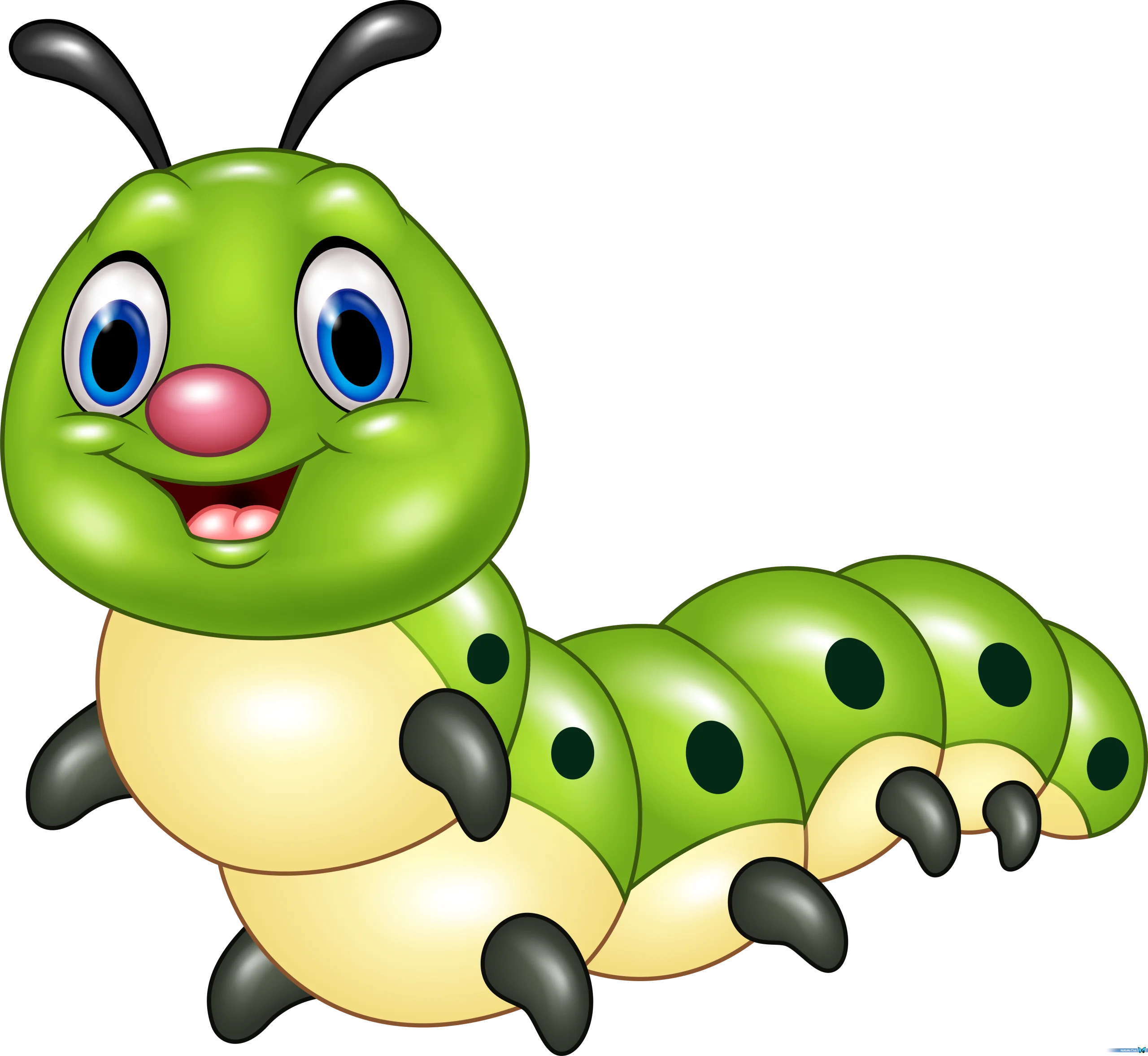 Cheerful Green Caterpillar Cartoon Clipart Design for Kids Illustration