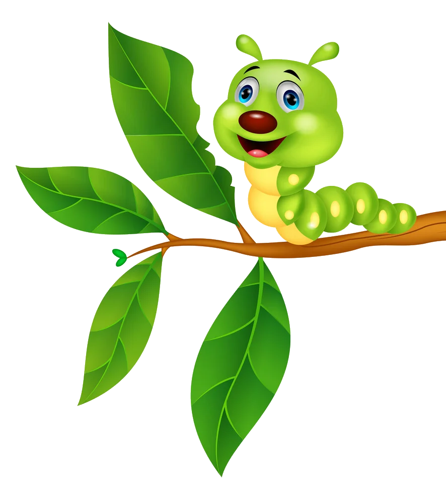 Cheerful Green Caterpillar Clipart Crawling on a Leafy Branch with Adorable Expression
