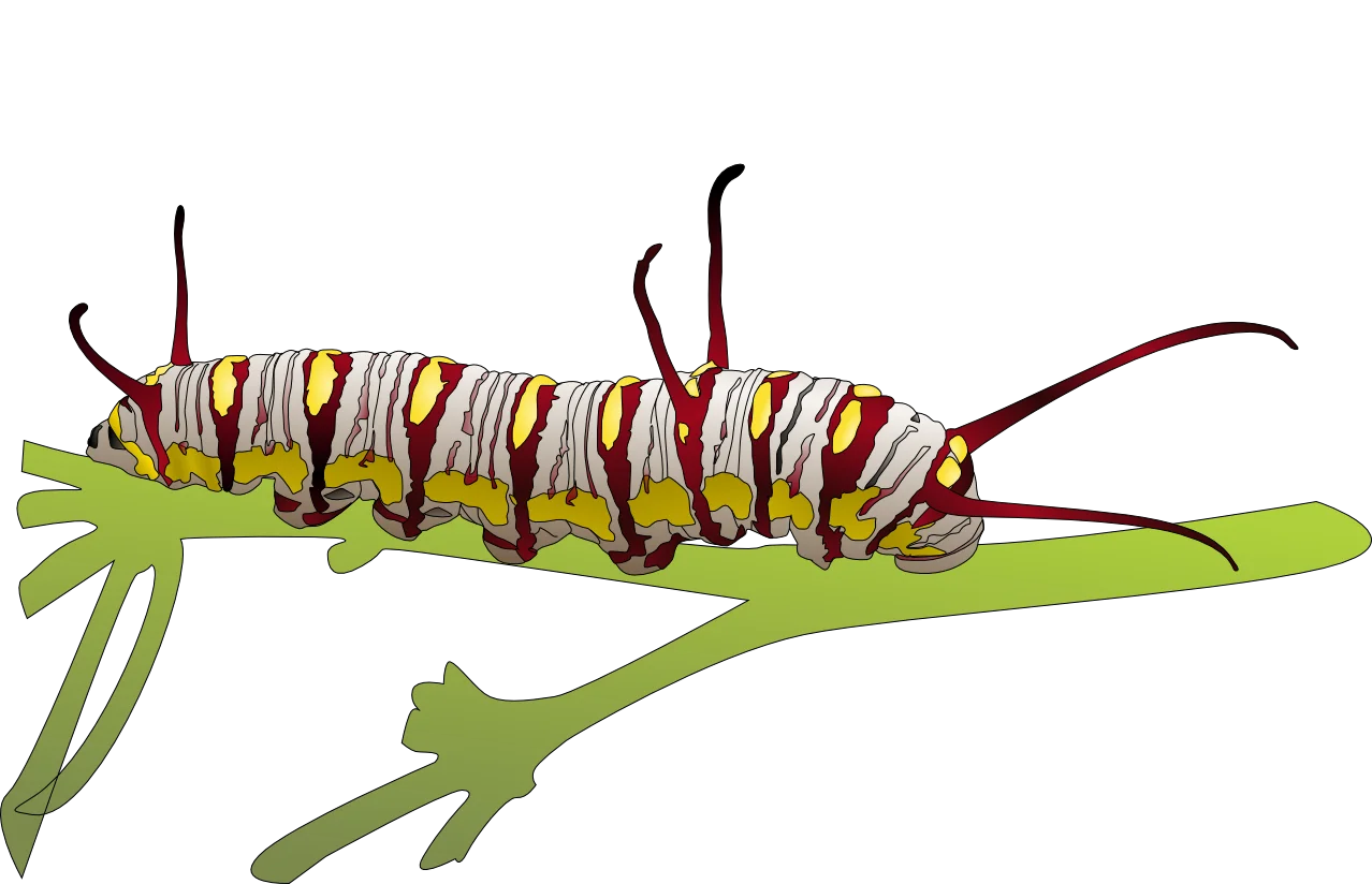Colorful Monarch Caterpillar Larvae Realistic Nature Clipart Illustration