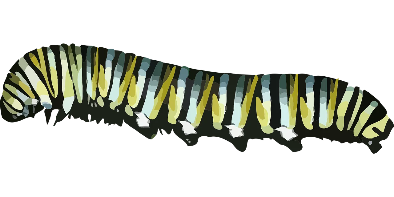 Monochromatic Monarch Butterfly Caterpillar Detailed Clipart Illustration