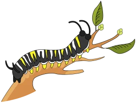 Playful Black and Yellow Striped Caterpillar on Tree Branch Clipart Illustration