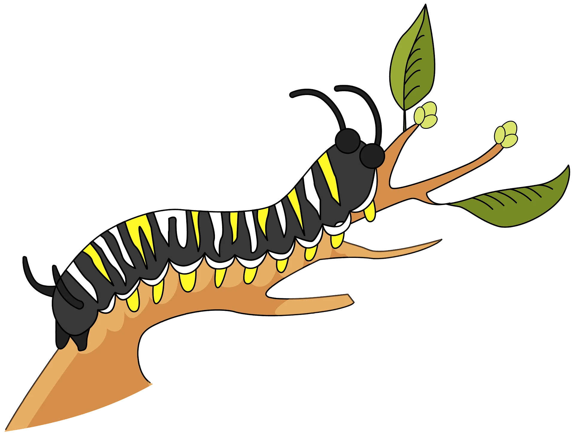 Playful Black and Yellow Striped Caterpillar on Tree Branch Clipart Illustration