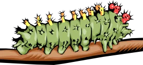 Spiky Green Caterpillar Clipart with Colorful Pointed Protrusions on Branch