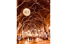 Enchanting Winter Wonderland Christmas Lights Clipart Walkway Scene