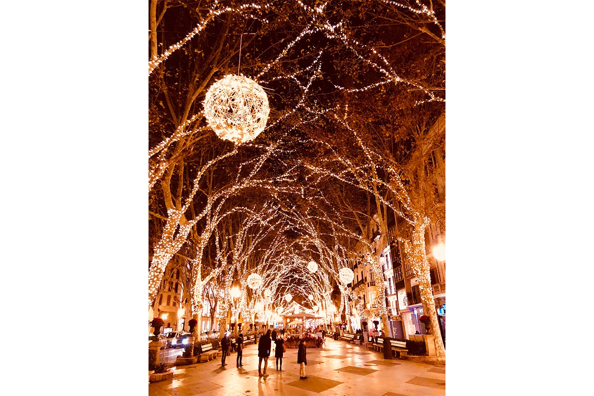 Enchanting Winter Wonderland Christmas Lights Clipart Walkway Scene