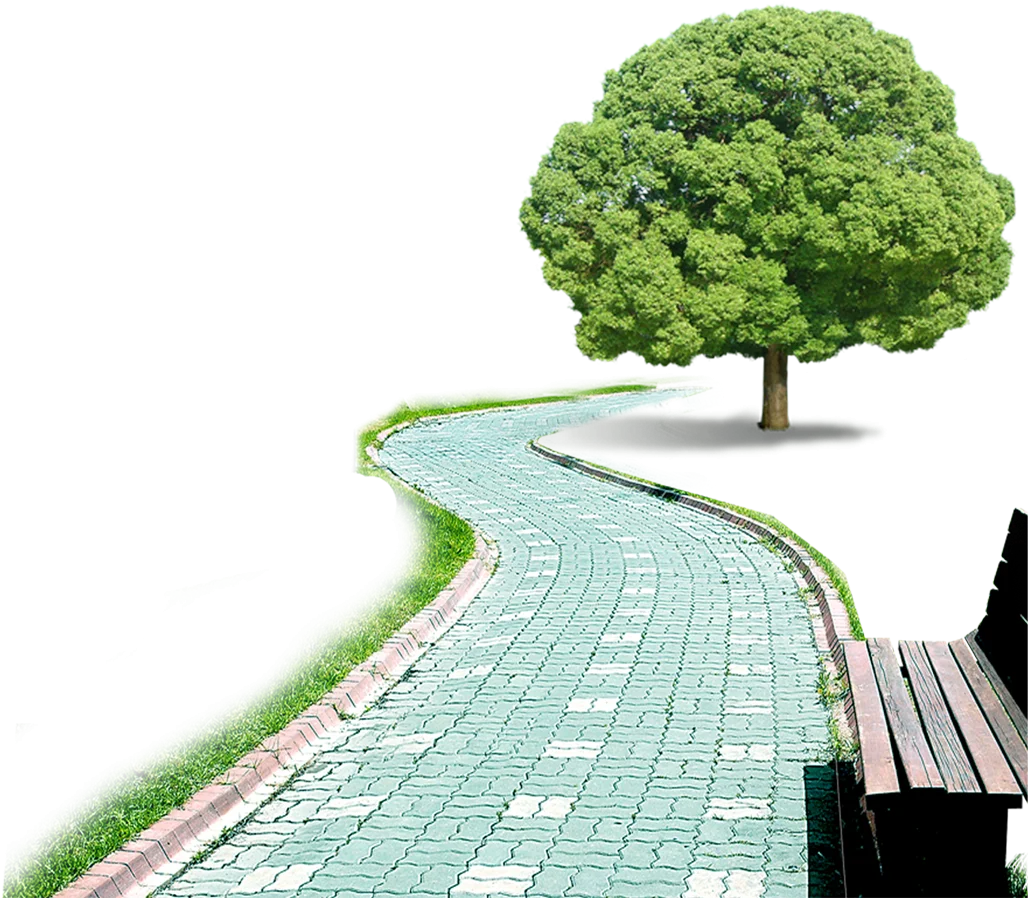 Serene Park Pathway Clipart with Lush Green Tree and Winding Mosaic Walkway