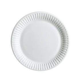 Simple Elegant White Paper Plate Disposable Tableware Clipart Design