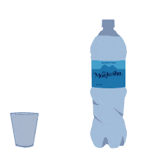 Minimalist Blue Water Bottle and Cup Clipart Design with Soft Shading