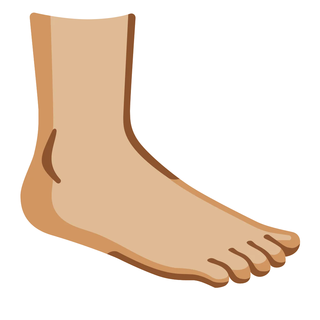 Minimalist Human Foot Anatomy Illustration Clipart with Soft Color Palette