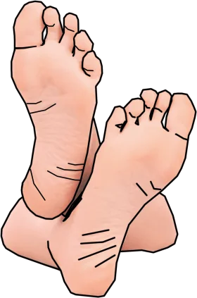 Whimsical Human Feet Clipart Illustration with Soft Skin Textures and Lines