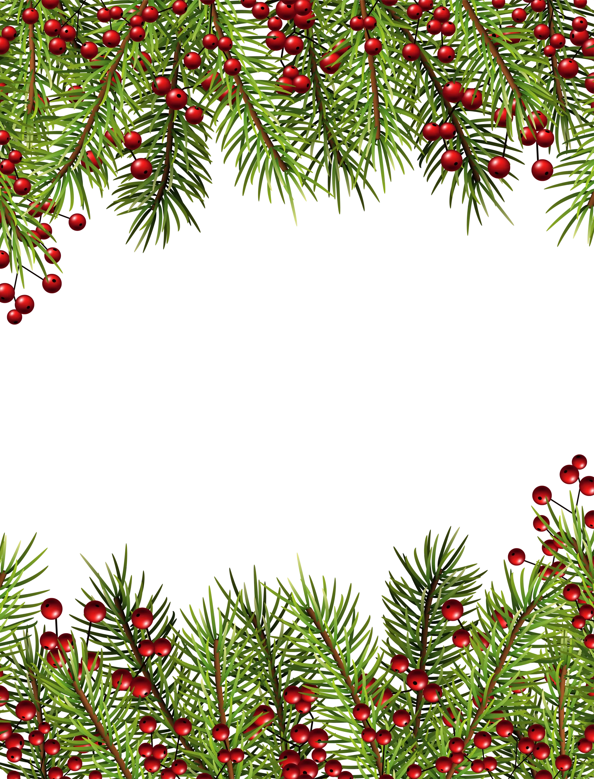 Festive Christmas Pine Branches and Red Berries Decorative Clipart Border Design
