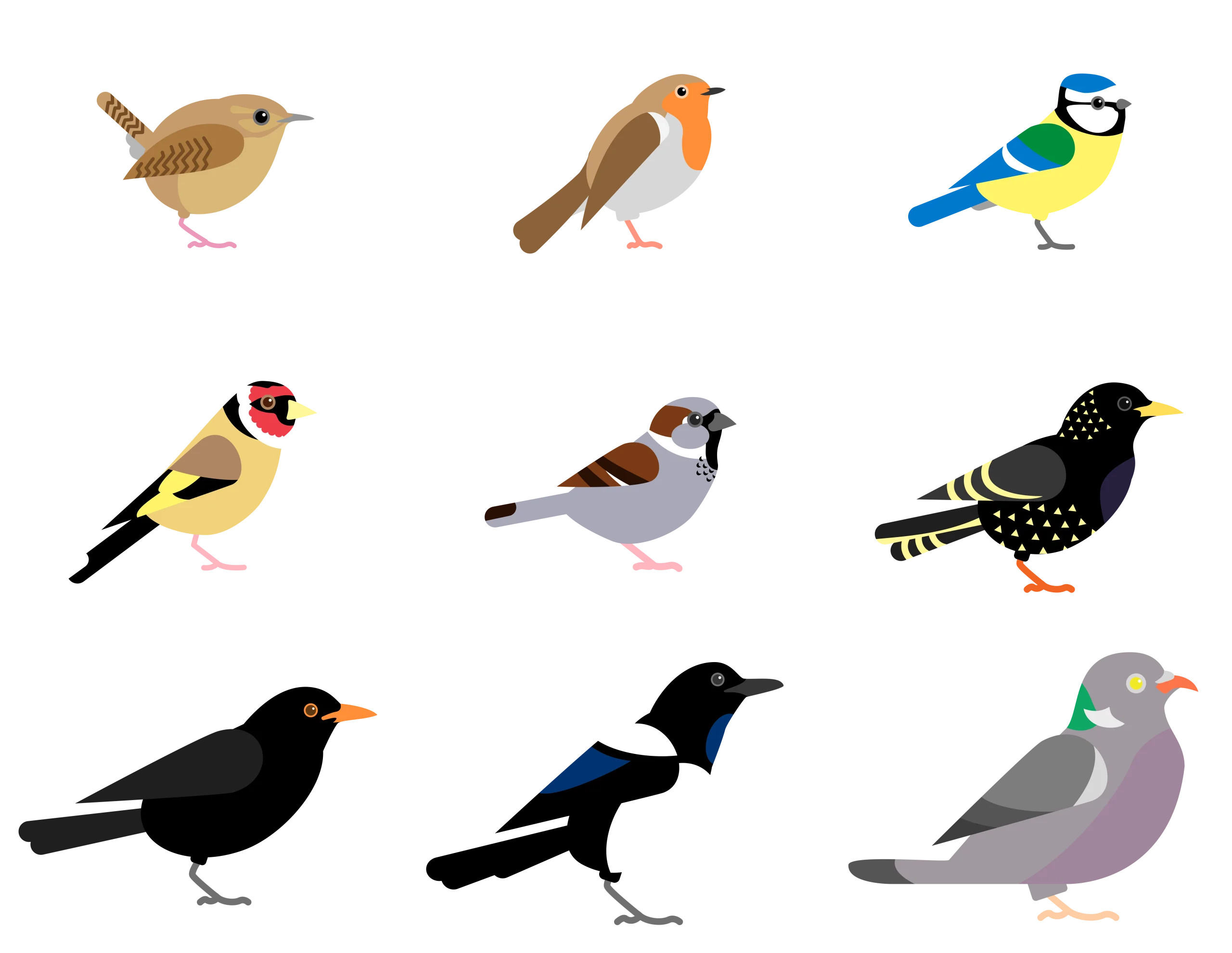 Adorable British and European Garden Birds Digital Illustration Clipart Collection