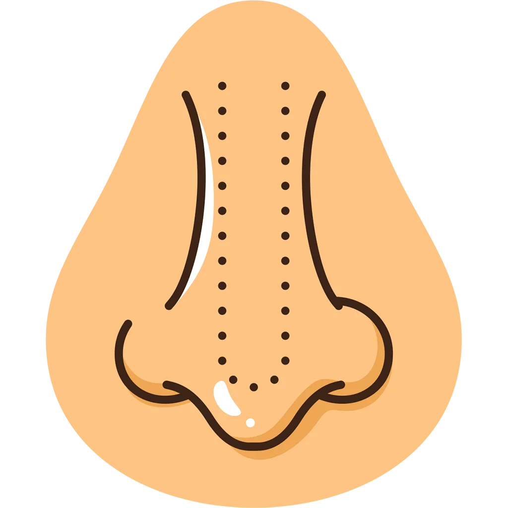Anatomical Nose Clipart Illustration with Dotted Line Medical Diagram Design