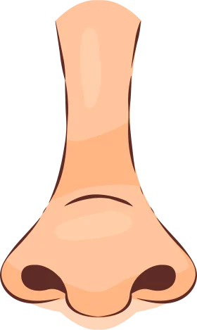 Cartoon Human Nose Clipart Illustration with Soft Peach Color Tones