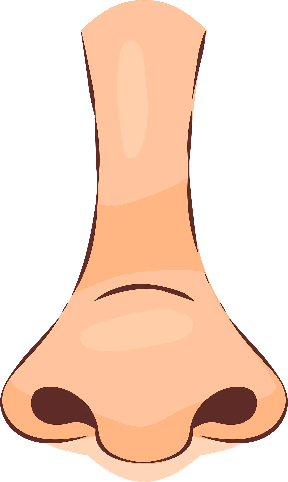 Cartoon Human Nose Clipart Illustration with Soft Peach Color Tones