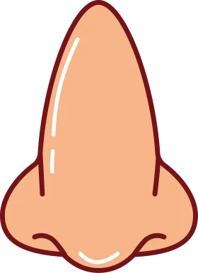 Cartoon Nose Clipart: Peach-Toned Simplified Anatomical Illustration