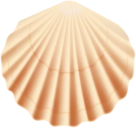 Delicate Peach Seashell Clipart - Soft Radiant Shell Illustration with Gentle Ridges