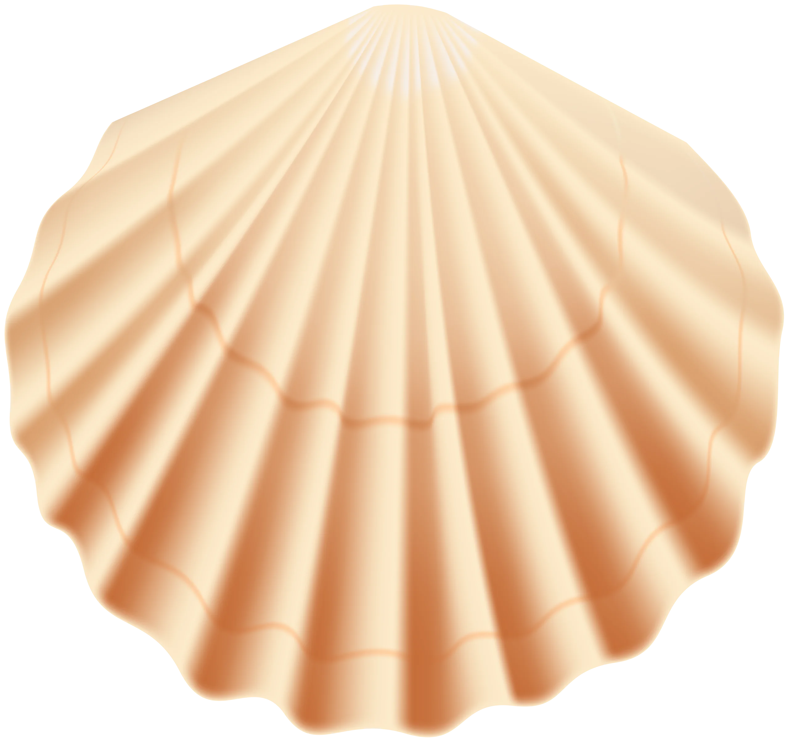 Delicate Peach Seashell Clipart - Soft Radiant Shell Illustration with Gentle Ridges
